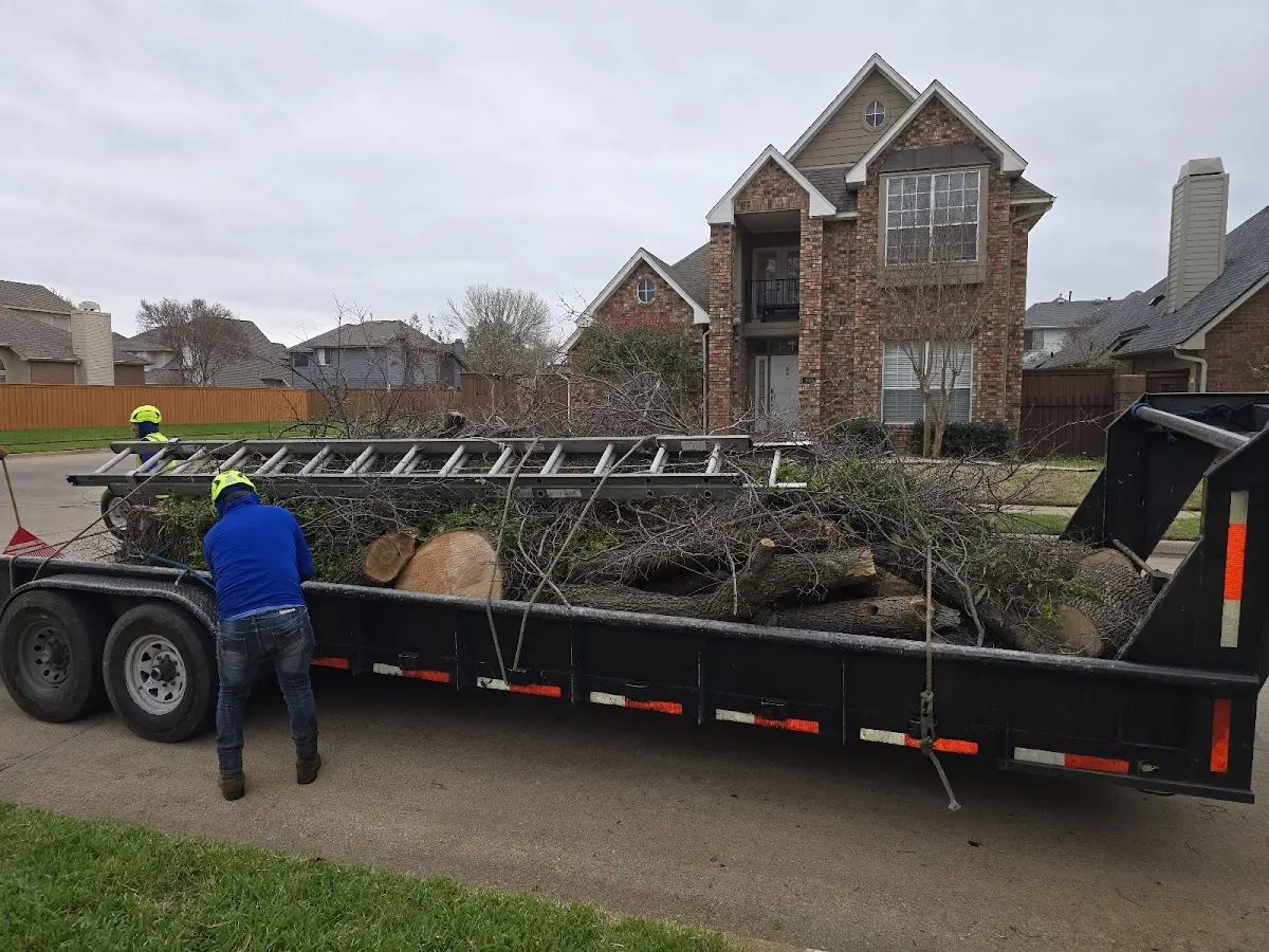 Expert Lot Clearing with proper safety equipment in Wallingford